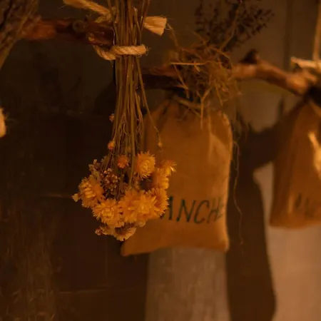 Boutique Soyka Hotel