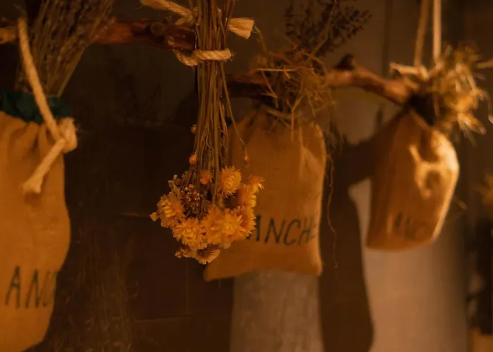 Boutique Soyka Hotel